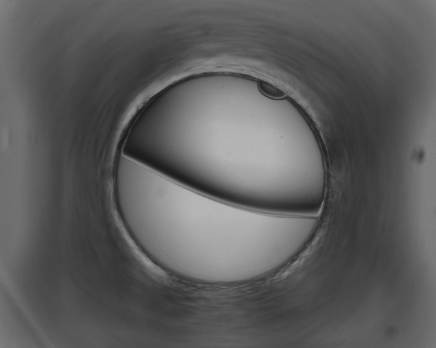 X0000097801525200803140724