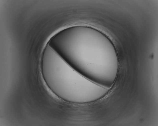 X0000097801526200803140724