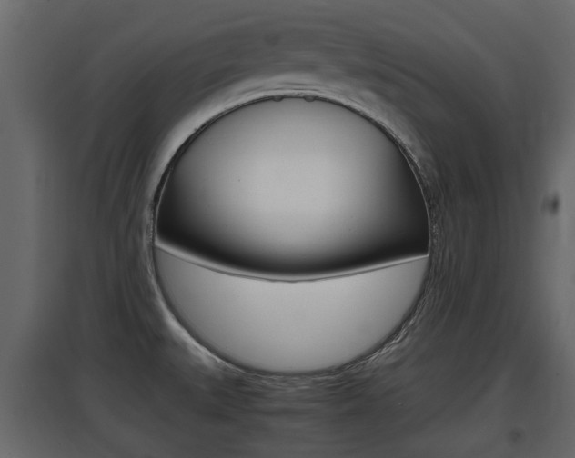 X0000097801527200803140724