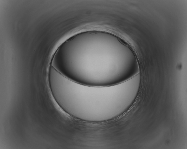 X0000097801528200803140724