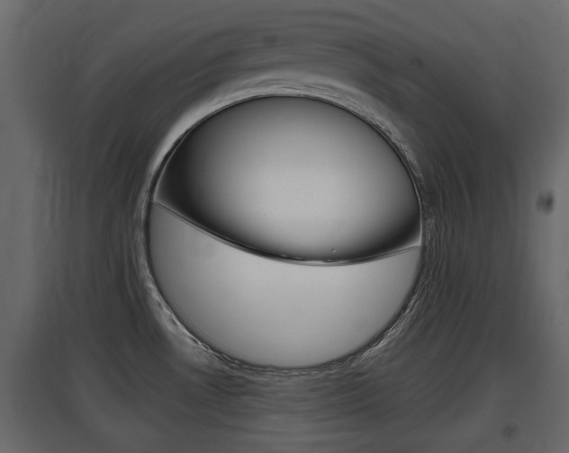 X0000097801530200803140725