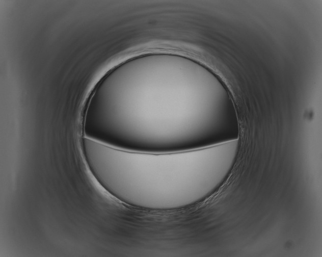 X0000097801531200803140725