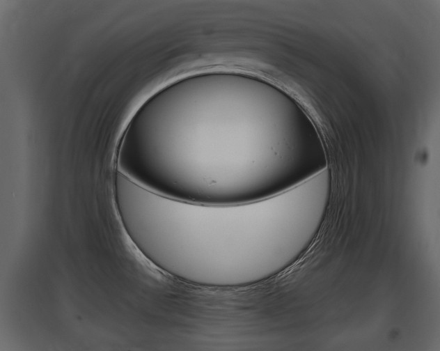 X0000097801532200803140725