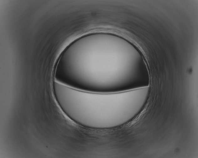 X0000097801533200803140725