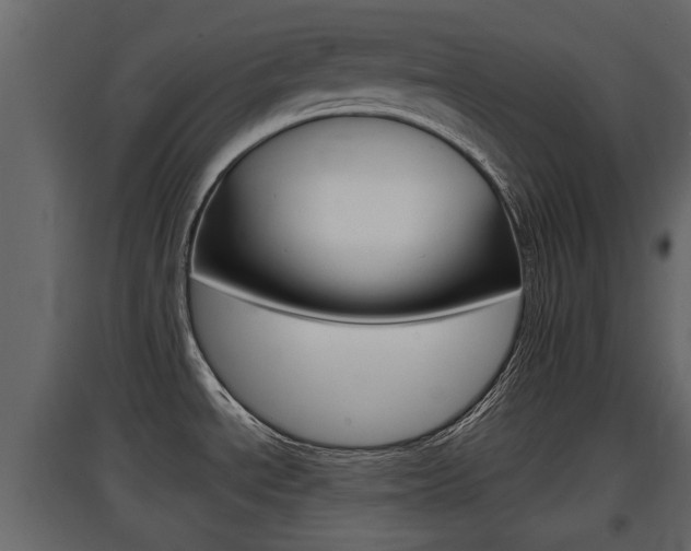X0000097801534200803140725