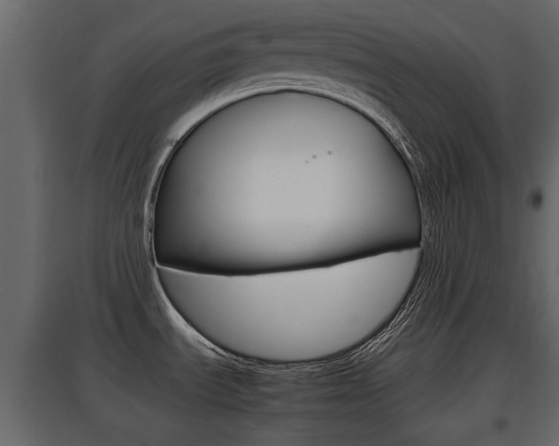 X0000097801535200803140725