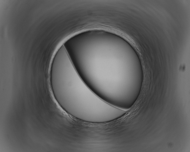 X0000097801536200803140725