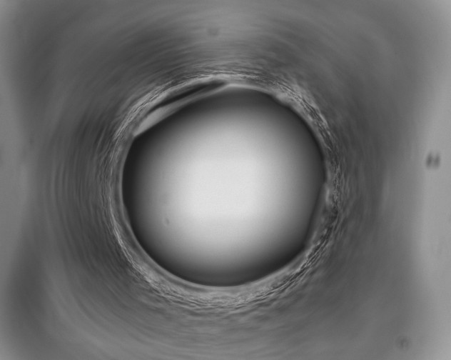 X0000097800001200803141104