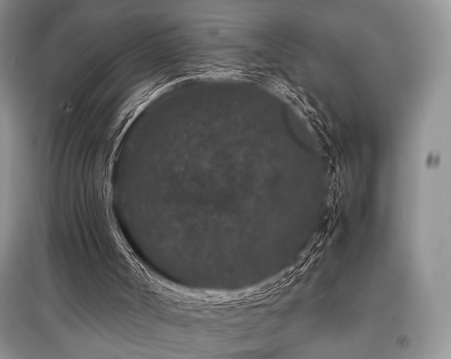 X0000097800002200803141104