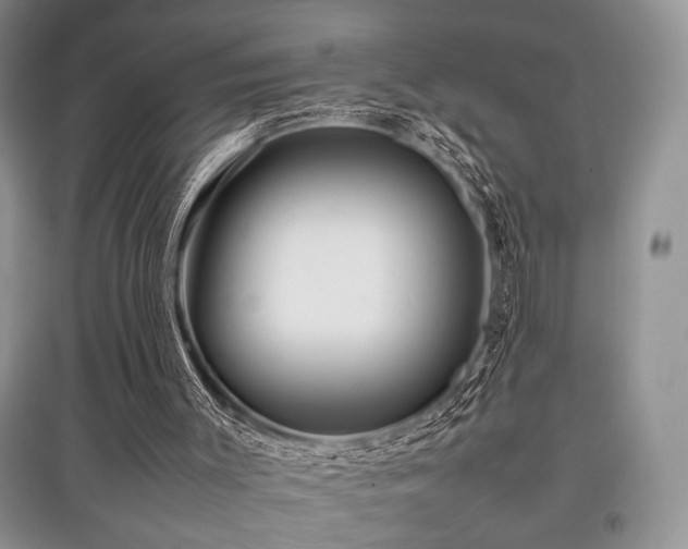 X0000097800003200803141104