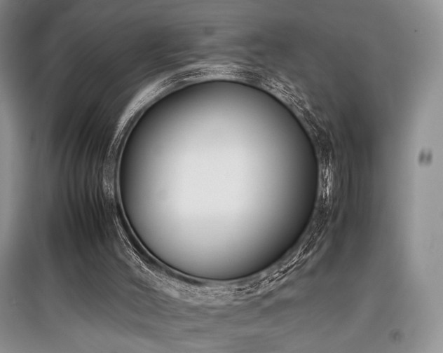 X0000097800004200803141104