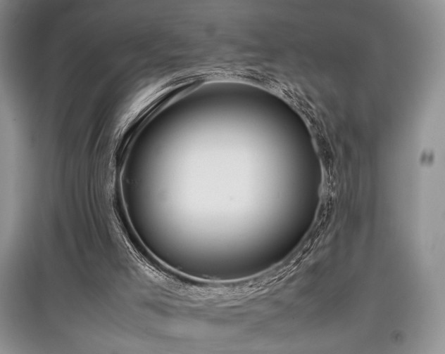 X0000097800005200803141104