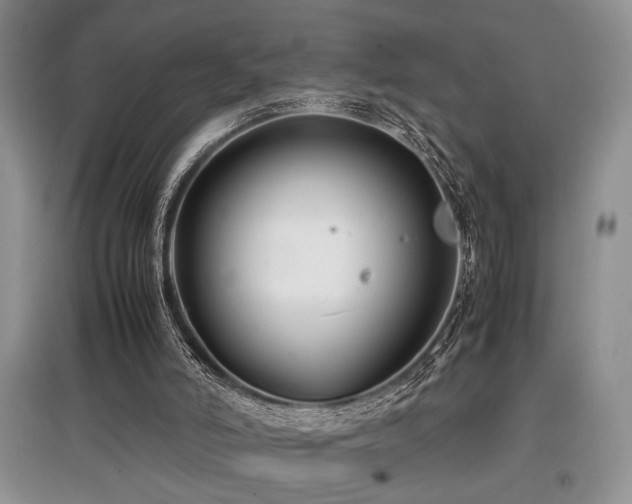 X0000097800006200803141104