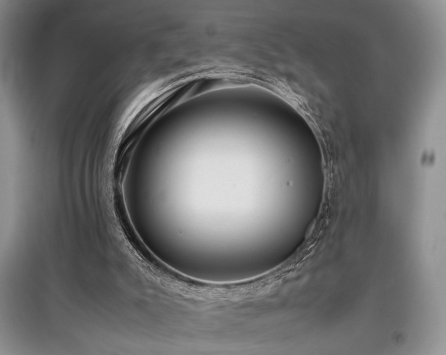 X0000097800007200803141104