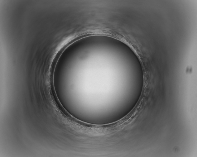 X0000097800008200803141104