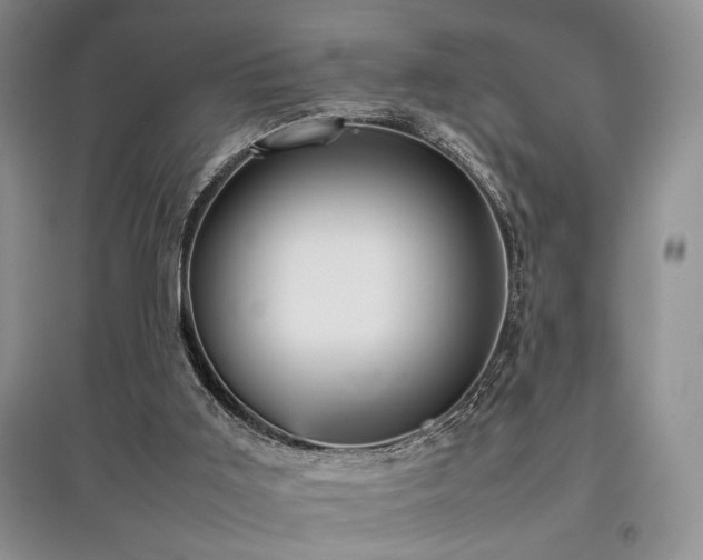 X0000097800011200803141104