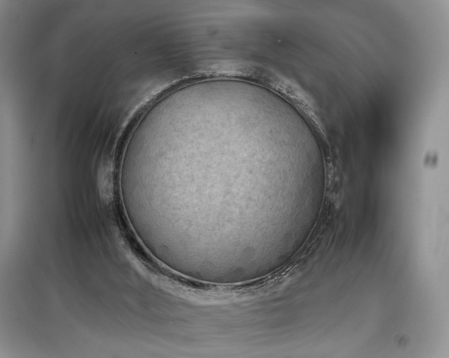 X0000097800012200803141104