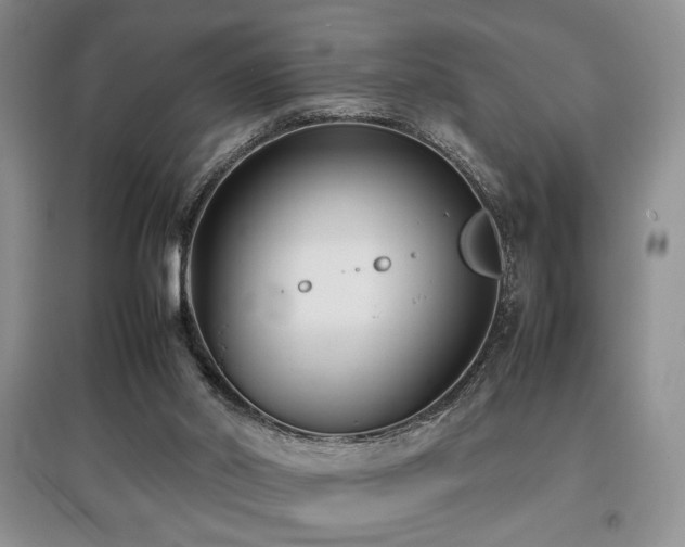 X0000097800014200803141104