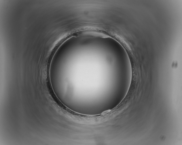 X0000097800015200803141104