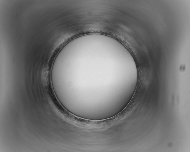 X0000097800016200803141104