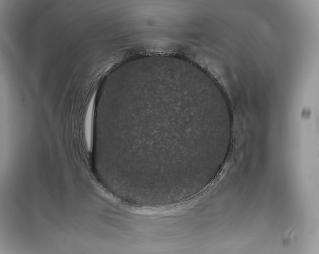 X0000097800017200803141104