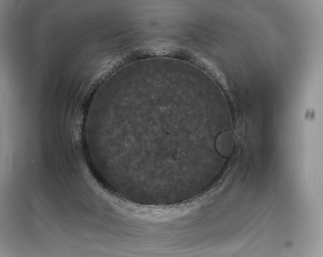 X0000097800018200803141104