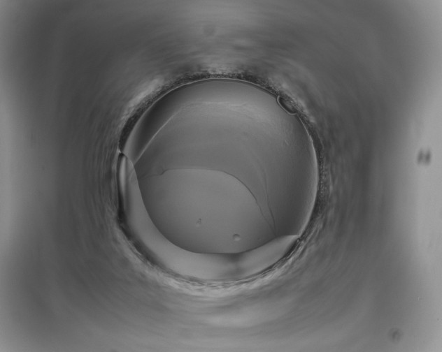 X0000097800019200803141104