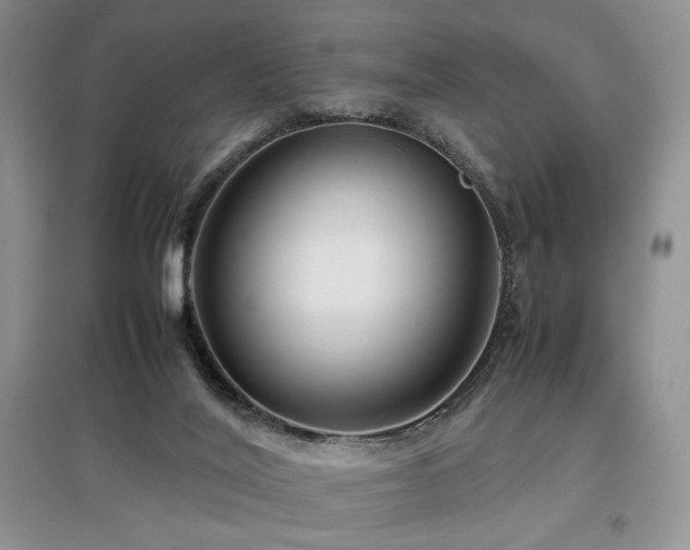 X0000097800020200803141104