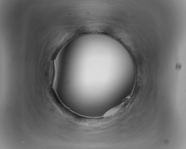 X0000097800021200803141104