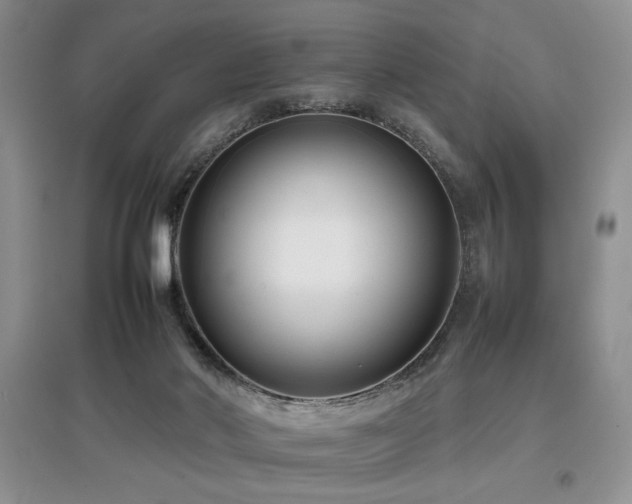 X0000097800022200803141104