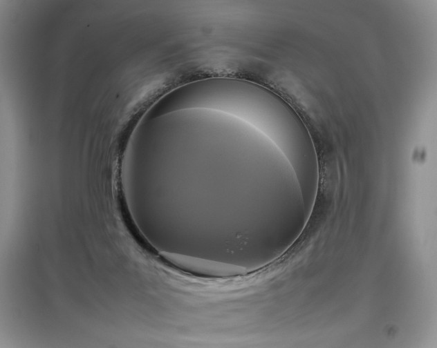 X0000097800023200803141104