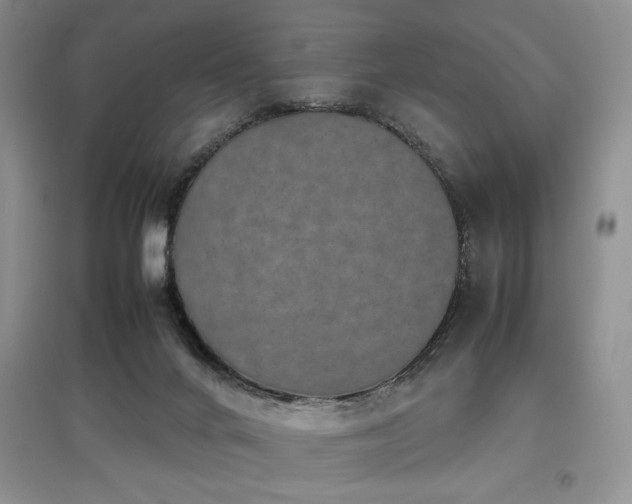 X0000097800024200803141104