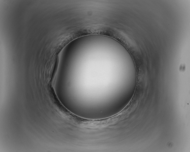 X0000097800025200803141104