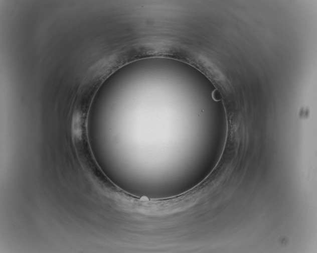 X0000097800026200803141104