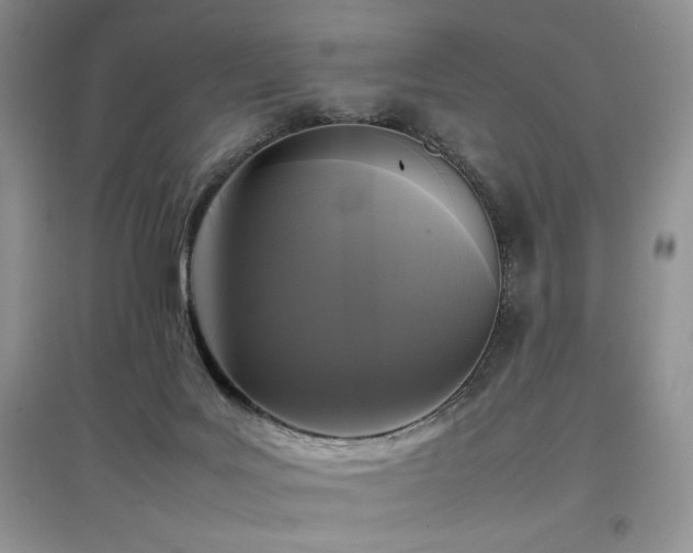 X0000097800027200803141104