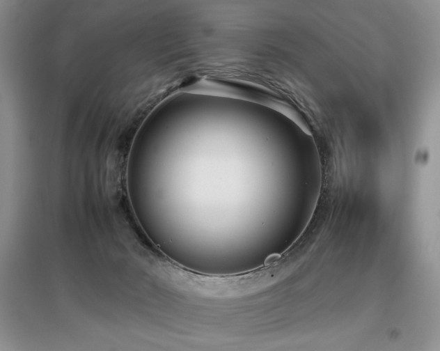 X0000097800030200803141104