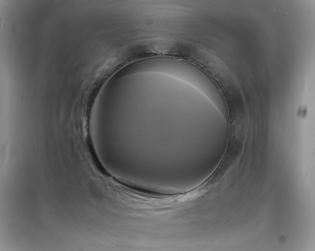 X0000097800031200803141104