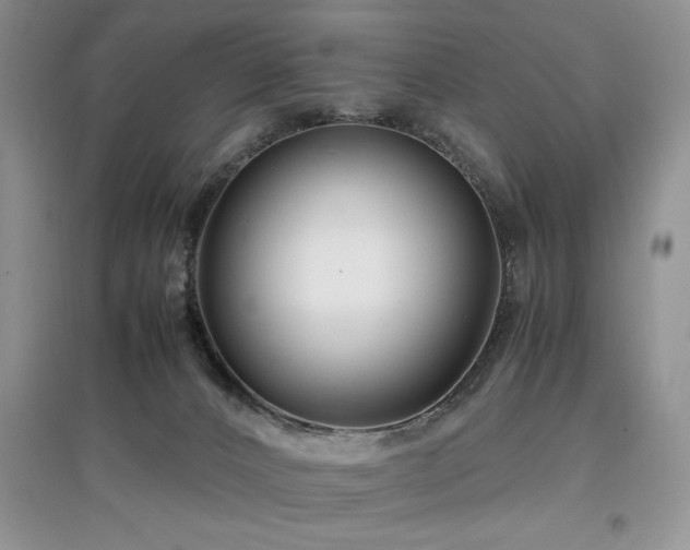 X0000097800032200803141104