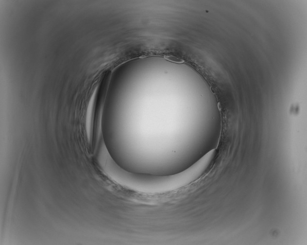 X0000097800033200803141104