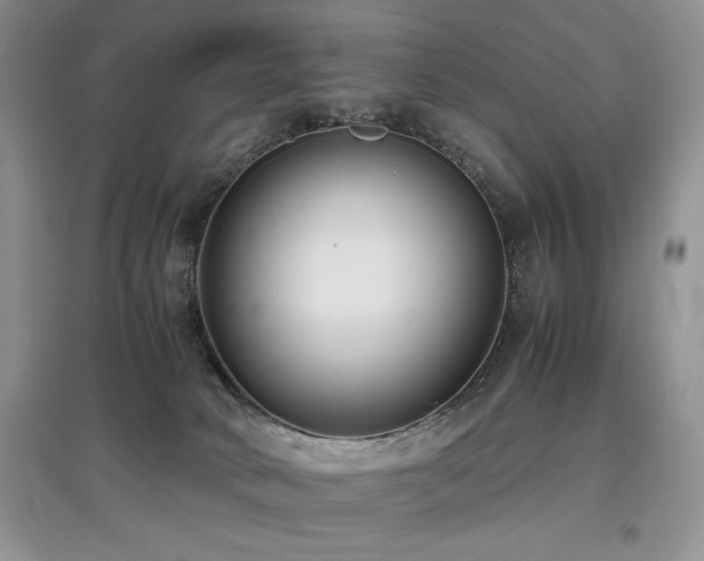 X0000097800034200803141104