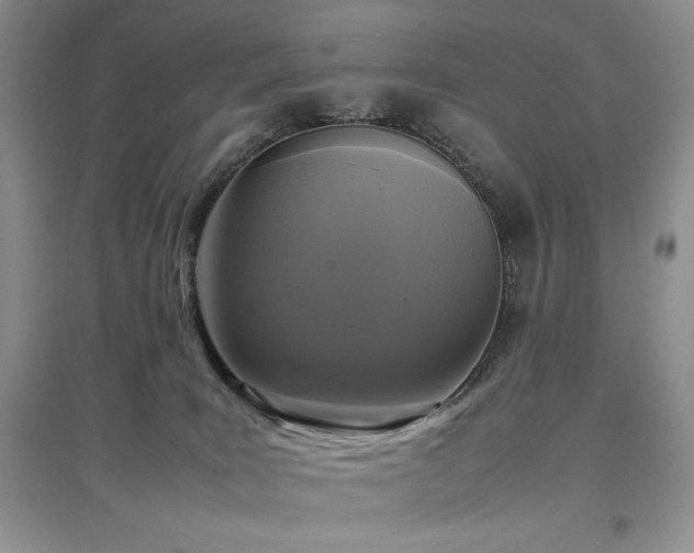 X0000097800035200803141104