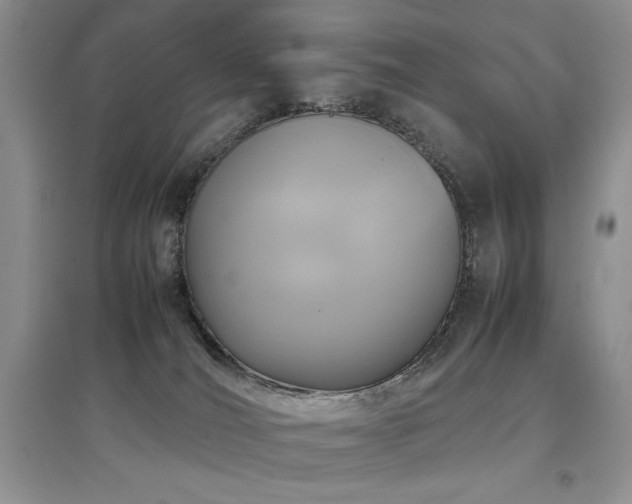 X0000097800036200803141104