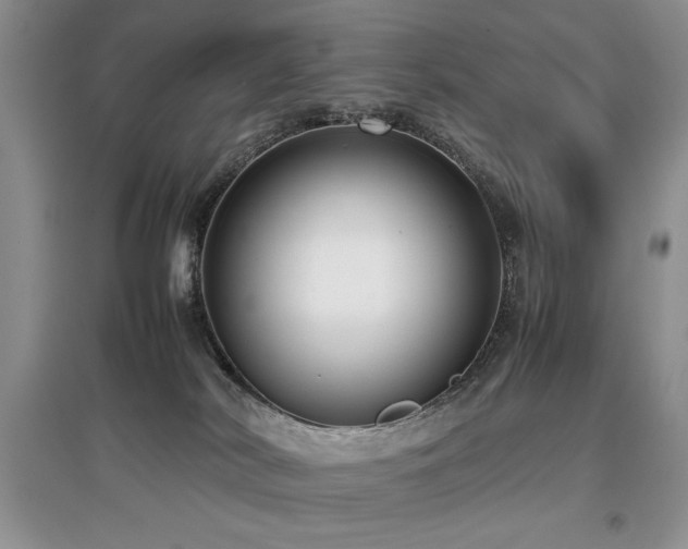 X0000097800038200803141104