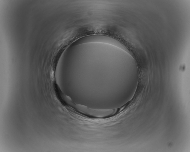 X0000097800039200803141103