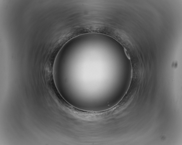 X0000097800040200803141103