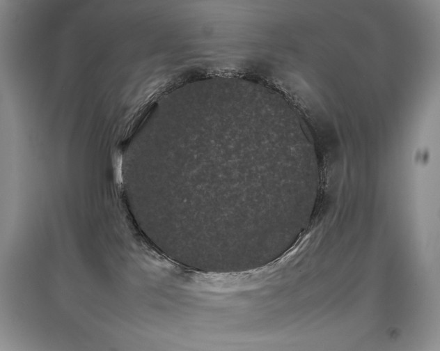 X0000097800041200803141103