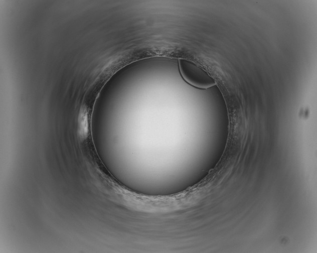 X0000097800042200803141103