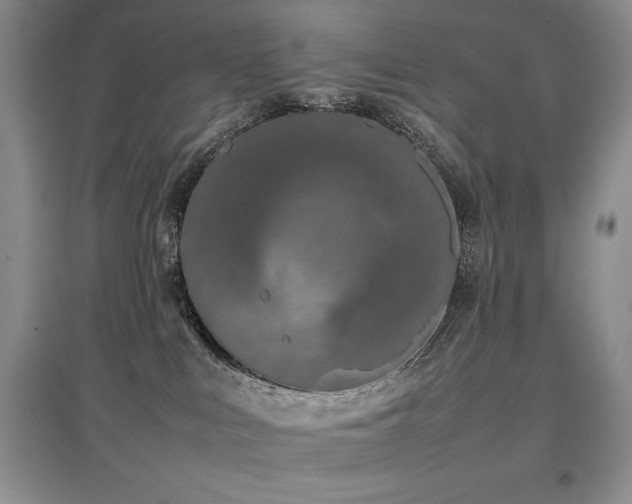 X0000097800043200803141103