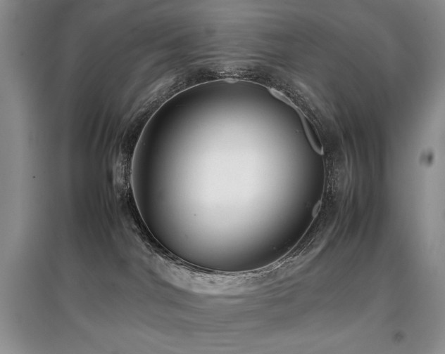 X0000097800044200803141103