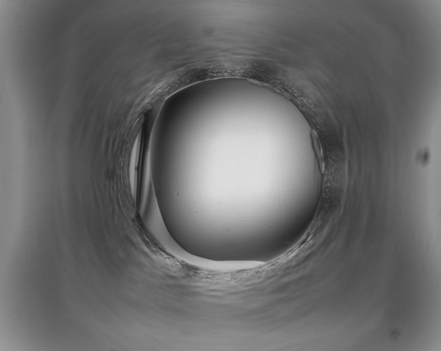 X0000097800045200803141103